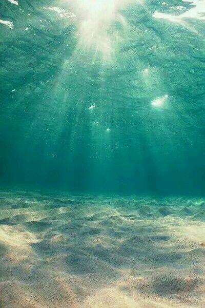 蝕骨危情爹地媽咪又跑了免費(fèi)閱讀202章