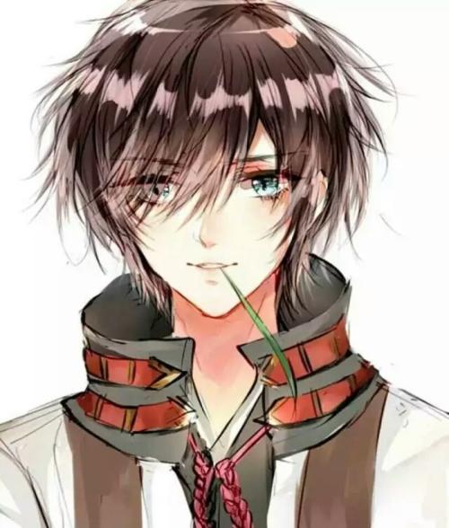 笨蛋美人太嬌氣，全員爭著哄